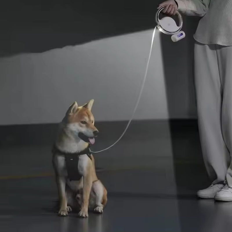 Udtrækkelig hundesnor med LED-lys poseholder og 3 meter line | Matthieu