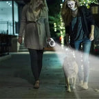 Udtrækkelig hundesnor med LED-lys poseholder og 3 meter line | Matthieu