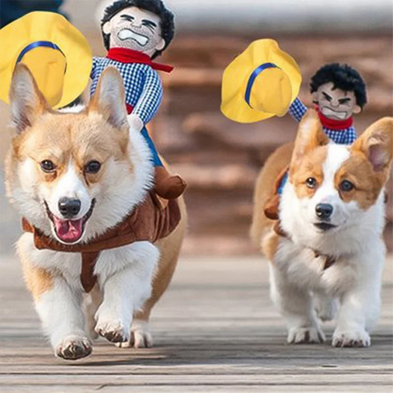Cowboy hundekostume med rytterfigur sadeldesign velcrolukning til fest og udklædning | Bruno