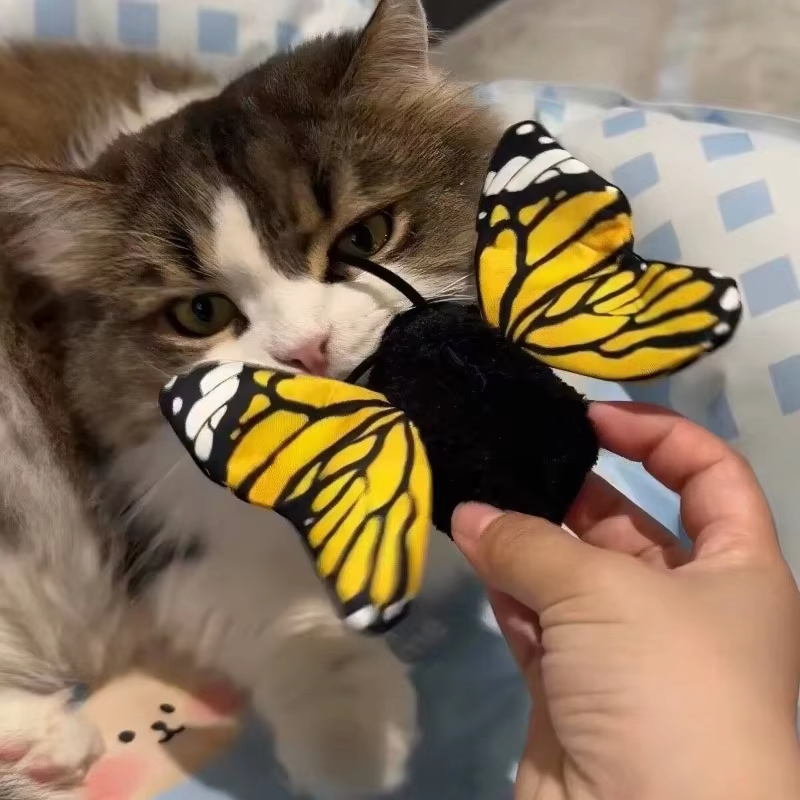 Interaktivt kattelegetøj med bevægelige vinger til leg | Luciana