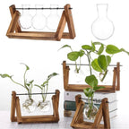 Hydroponisk Urtepotte Træbakke Indendørs Planter | Florentia