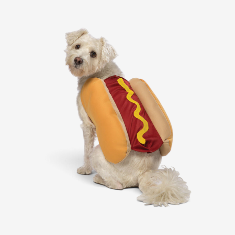 Kostium psa hot doga z miękkiego poliestru na Halloween, zapinany na rzep | Barnabé