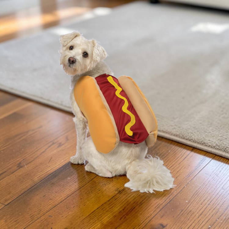 Kostium psa hot doga z miękkiego poliestru na Halloween, zapinany na rzep | Barnabé