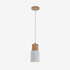 LED Loftpendel Hængende Metal Indendørs | CeilingGlow